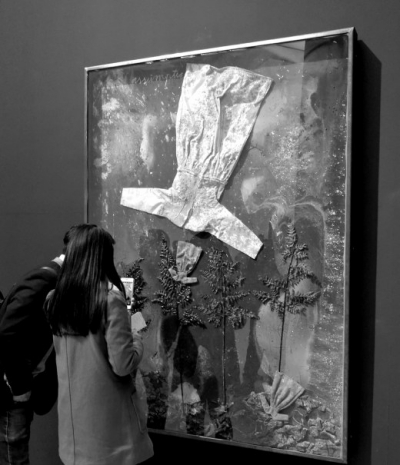 《假设》综合材料：纺织品织物、植物组成