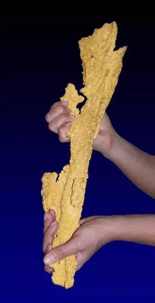 矿物晶体——世界最长的自然金“霹雳王”（Gold）