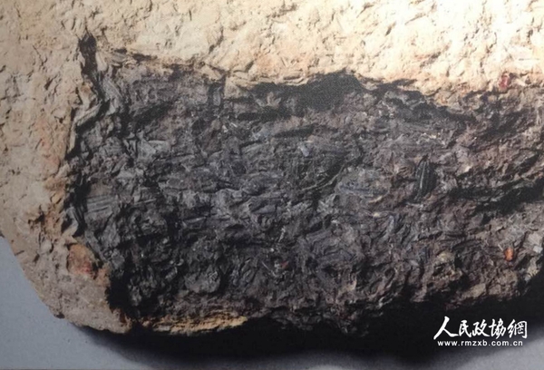 羼和稻壳的陶片