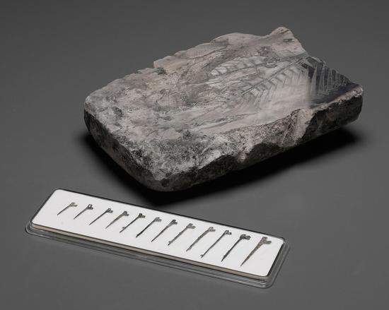 2016西泠秋拍 春秋?越国戈币陶质钱范及小型戈币 尺寸大小不一，最小通长70mm