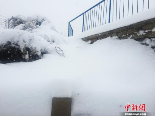 11月21日，河北承德持续降雪，过程雪量达到中到大雪，甚至暴雪。承德发布暴雪黄色预警。图为厚厚的积雪。孙超 摄