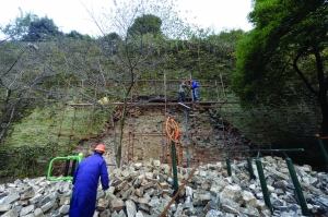 原文配图：南京明城墙小桃园段局部坍塌，工作人员正在搭脚手架准备维修。 [保存到相册]