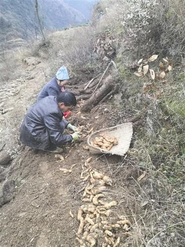 女子名为潘金莲 称“名字而已，有什么要紧”