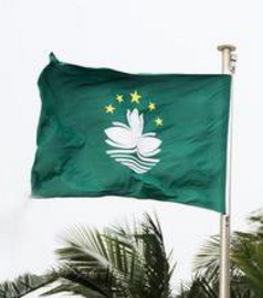 澳门新增效忠声明