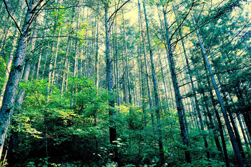 abfd38bd-9493-4845-a8dc-e6b3f0f5deb8 abfd38bd-9493-4845-a8dc-e6b3f0f5deb8