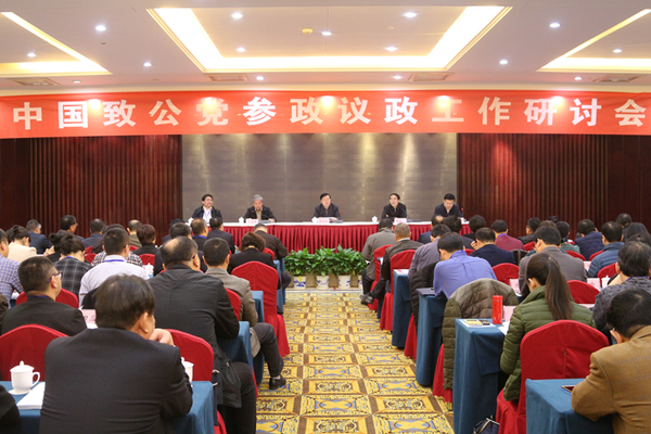 　参政议政工作研讨会开幕式