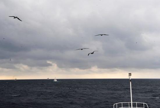 20161212095351_ba6f1040c316607faf160712aa3c93ae_1