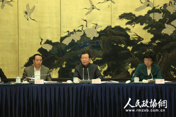 王刚在会上讲话_副本