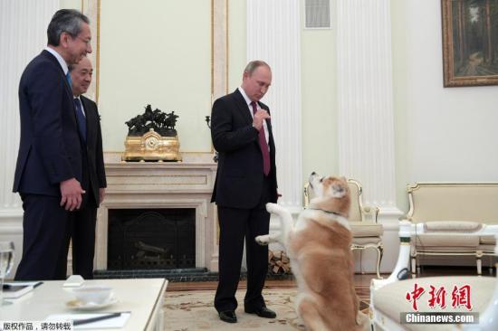 点击进入下一页