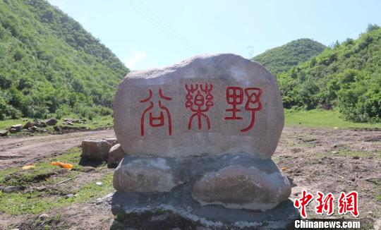 工作组将老窝铺村打造全国首个野药谷 张鑫 摄