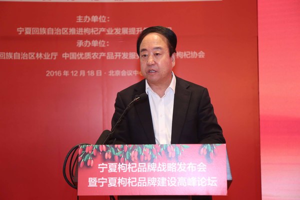 宁夏回族自治区区委常委、政府副主席李锐发言