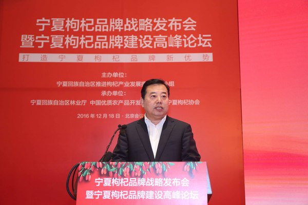 宁夏回族自治区人民政府副秘书长 大会主持人 王凌