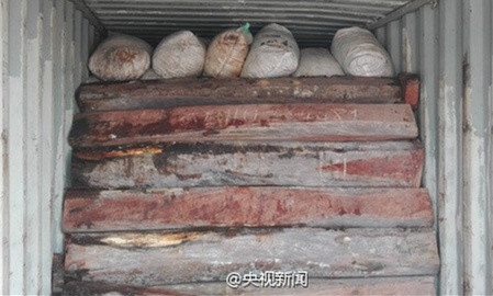 这是目前中国海关查获的最大一起穿山甲鳞片走私案。