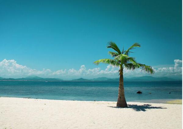 QQ截图20170105082406