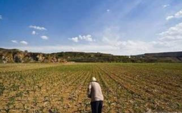 QQ截图20170117160418