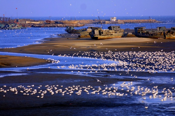 2766336071129201762 2766336071129201762