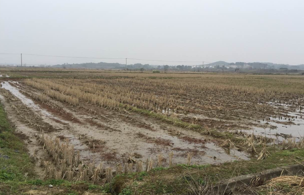 QQ截图20170122171939