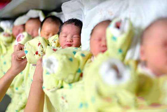 山东成“最敢生”省份