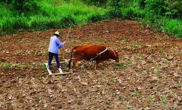 QQ截图20170124141601 QQ截图20170124141601