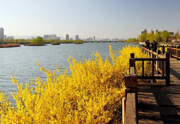 QQ截图20170203152113