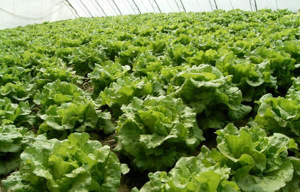 QQ截图20170206152202