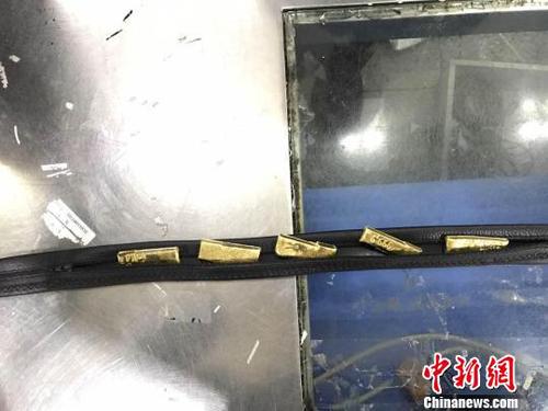 藏在腰带内的黄金 蒋昕 摄