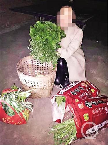 元宵节“偷青”民俗变偷菜：城里人毁了整块菜地
