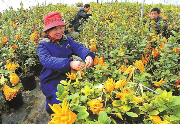 QQ截图20170215162305