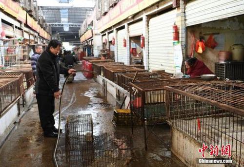 目前，长沙市活禽市场全部休市。 杨华峰 摄