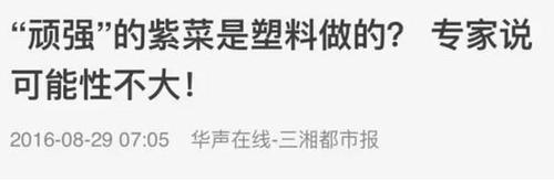 你可能吃到了塑料做的假紫菜？真相是……