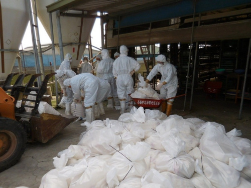 台南下营一处蛋鸡场，检验出H5N2，动保处人员扑杀7782只蛋鸡。来源：台湾《联合报》(台南市农业局动保处提供)