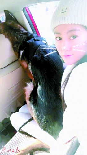 90后“宠物殡葬师”徐雅婷说，创业初衷是送宠物最后一程。