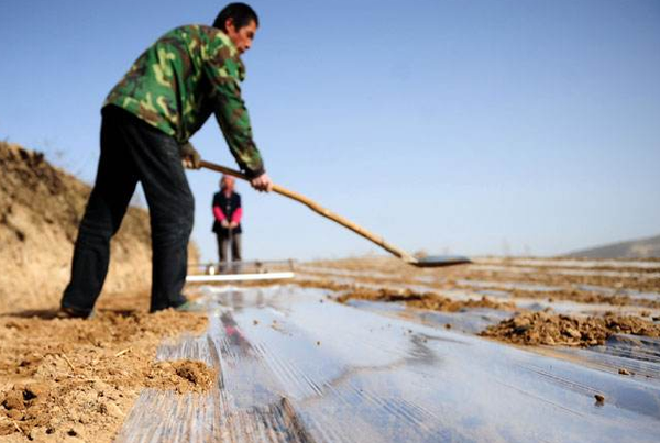 QQ截图20170221161341