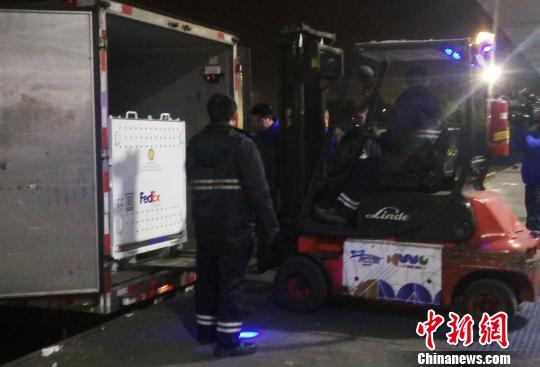 大熊猫“宝宝”被送进转运车上?！⊥跫舅?摄