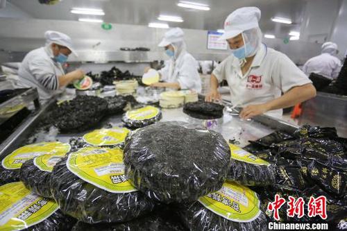 工人在包装紫菜?！±钪窘?摄