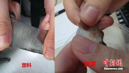 真紫菜泡水后吸收水分，光滑，而塑料薄膜不吸水，不光滑。制图：<a target='_blank' href='http://www.chinanews.com/' >中新网</a> 邱宇