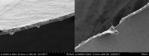 塑料袋样品断面的扫描电镜结果。来源：北京市食药监局供图。