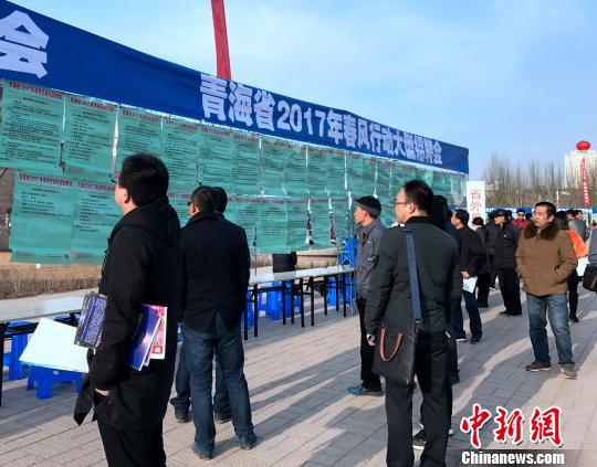 图为应聘者在寻找着适合自己岗位的单位?！∷镱?摄