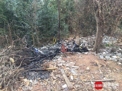 华西都市报-封面新闻讯（记者 李逢春 李天宇）2月26日，10多辆共享单车在成都锦江区三圣乡一个停车场被人纵火烧毁，本报第一时间报道，并根据采访对象描述，指出最大嫌疑可能是被冲击生意的三圣景区一些自行车租赁老板。
