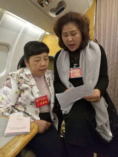 政协委员放歌两会1