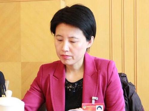全国政协委员岳泽慧 图片来源于网络