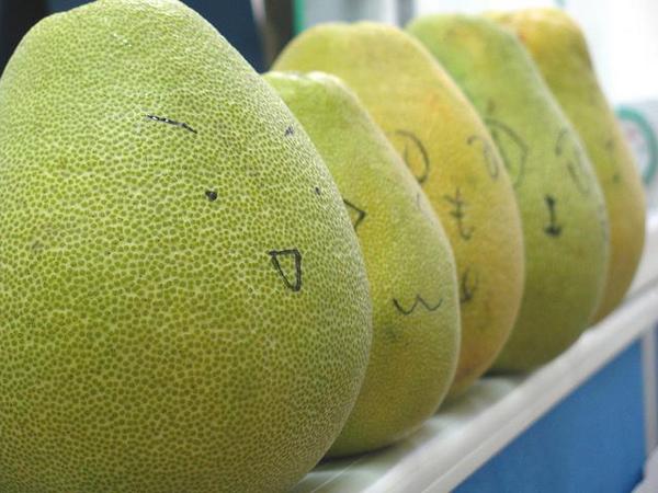 除甲醛的五大谣言 看看有没有你中招的？ 