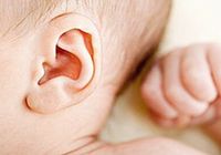 1120561276_1488502867025_title0h