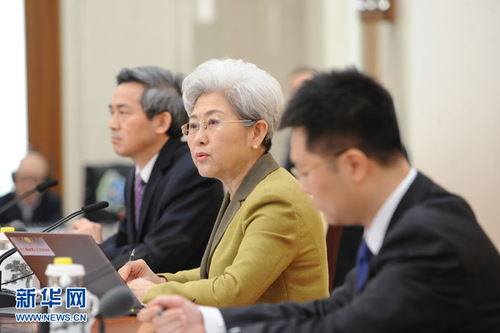 大会发言人傅莹