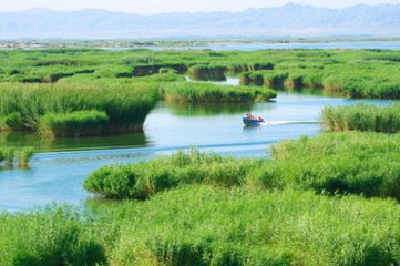 t0122d918ffa68a28a9 t0122d918ffa68a28a9