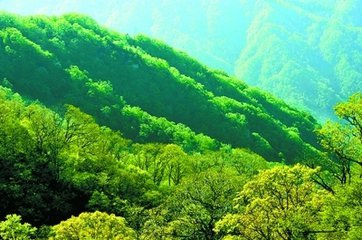 t01250d219fbaad3dcd t01250d219fbaad3dcd