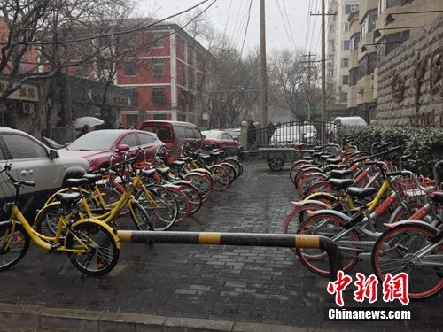 风雪中的共享单车。<a target='_blank' href='http://www.chinanews.com/' >中新网</a> 吴涛 摄