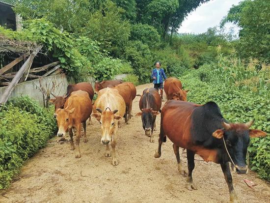 点击进入下一页