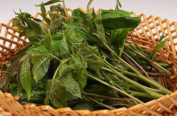 春天最该吃的8种清火食物 错过还要等一年