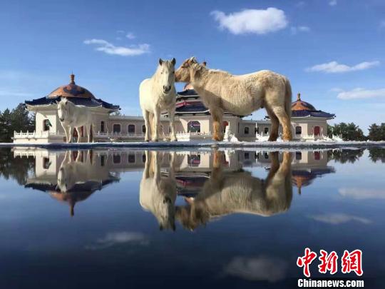 成吉思汗陵拟重“铸”成吉思汗铜像高超十米